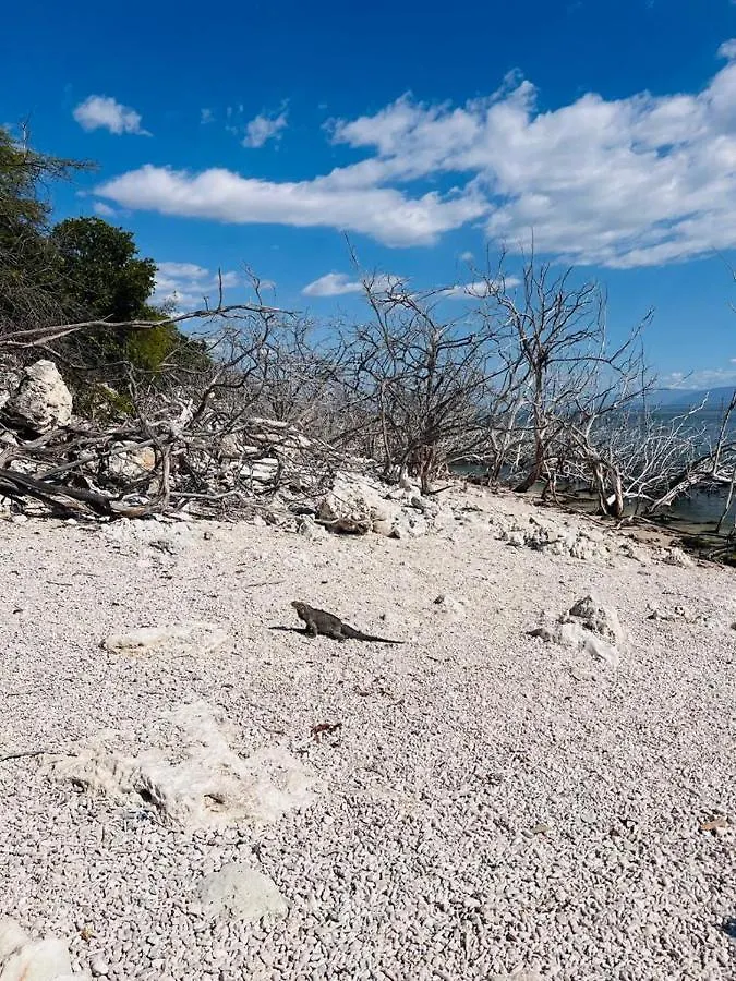Pensión Lago Enriquillo Resorthotel Cerro Al Medio República Dominicana