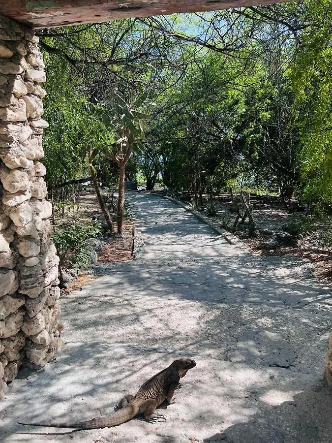 Cerro Al Medio Lago Enriquillo Resort بيت ضيافة