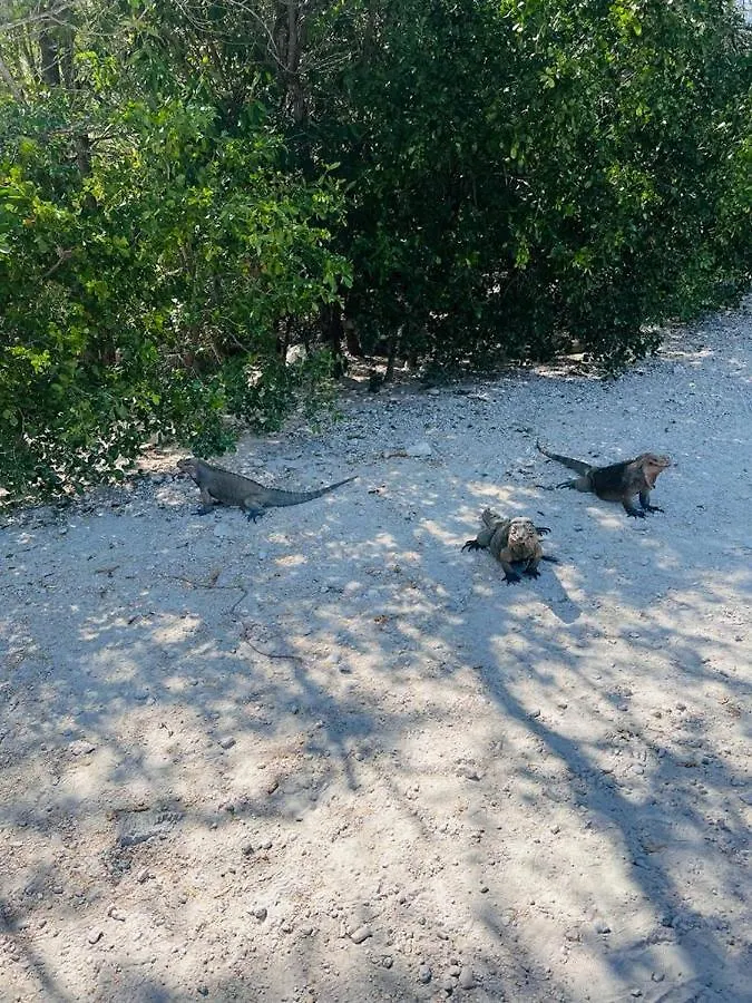 Cerro Al Medio Lago Enriquillo Resort جمهورية الدومينيكان